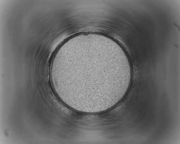 X0000102781075200809081022