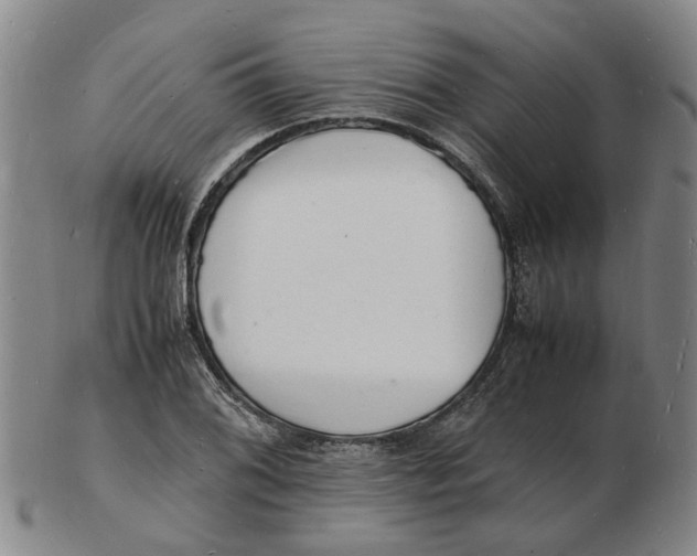 X0000102781076200809081022