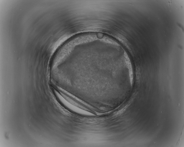 X0000102781077200809081022