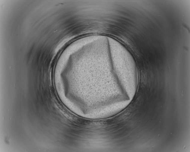 X0000102781078200809081022