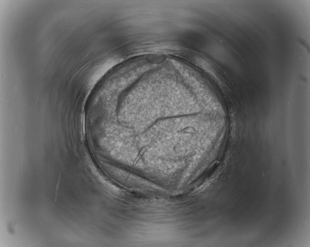 X0000102781079200809081022