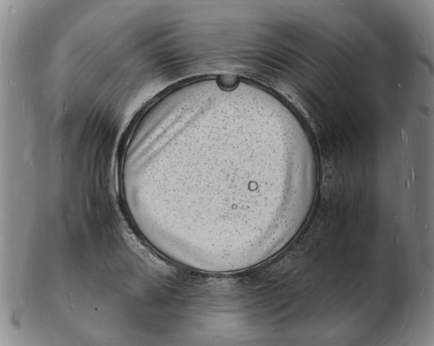 X0000102781080200809081022