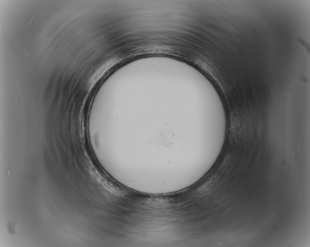 X0000102781082200809081022