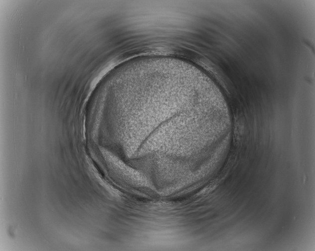 X0000102781083200809081022