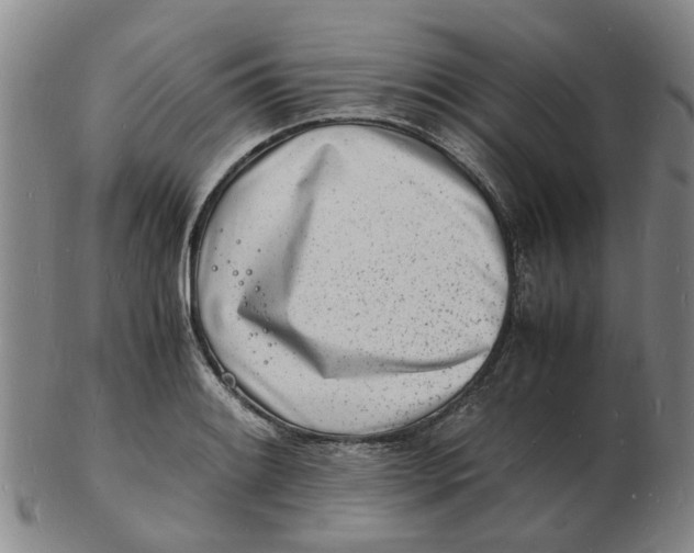 X0000102781084200809081022