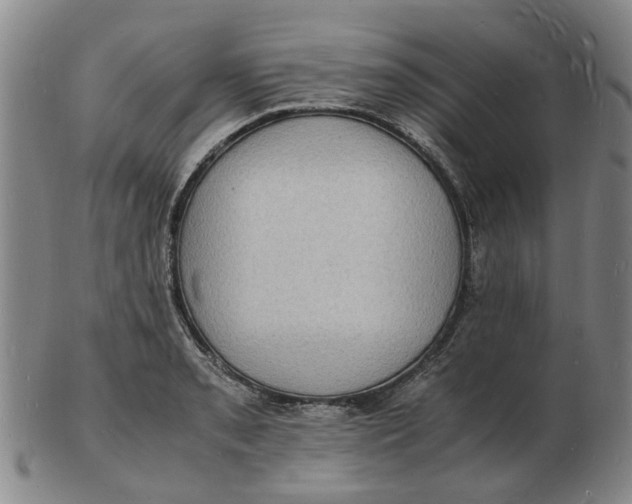 X0000102781085200809081022