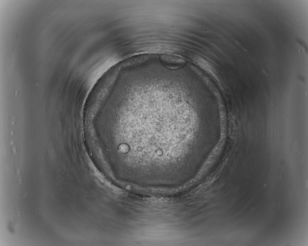 X0000102781087200809081022