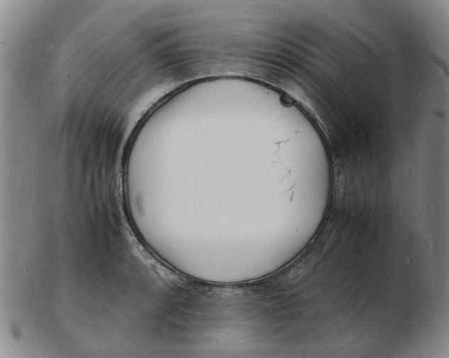 X0000102781088200809081022