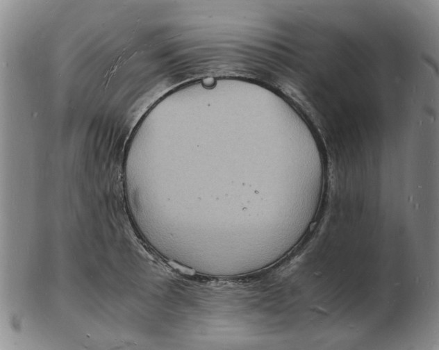 X0000102781089200809081022