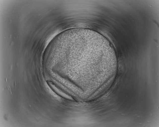 X0000102781091200809081022