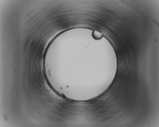 X0000102781092200809081022