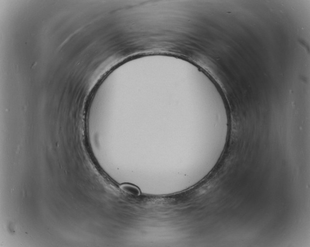 X0000102781093200809081022