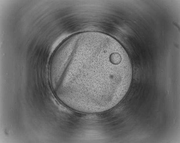 X0000102781094200809081022