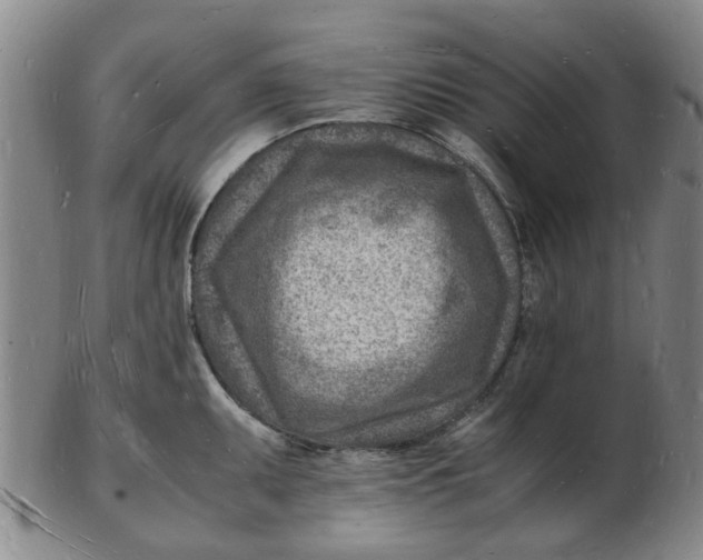 X0000102781095200809081022