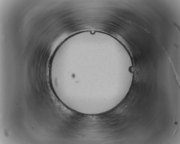 X0000102781096200809081022