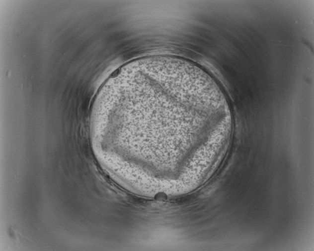 X0000102781097200809081022