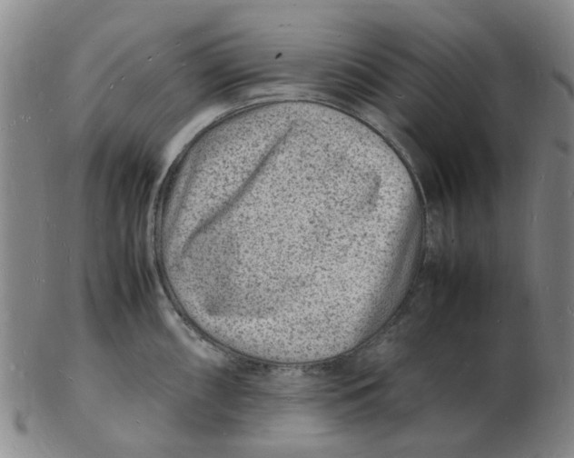 X0000102781098200809081022