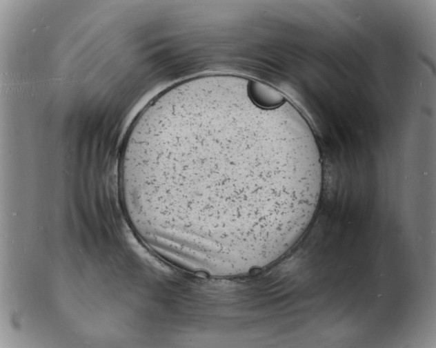 X0000102781100200809081022