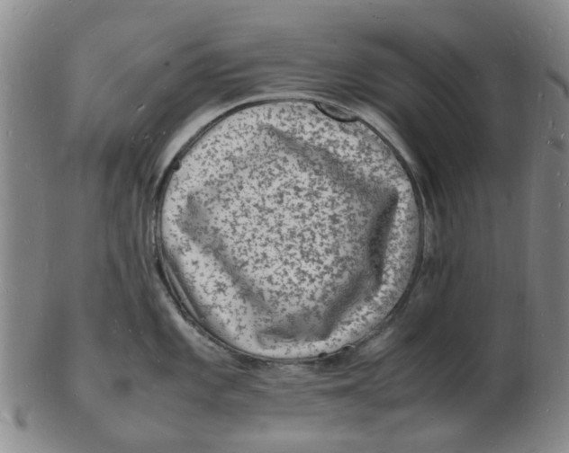 X0000102781101200809081022