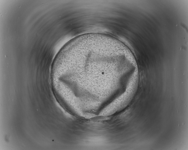 X0000102781103200809081022