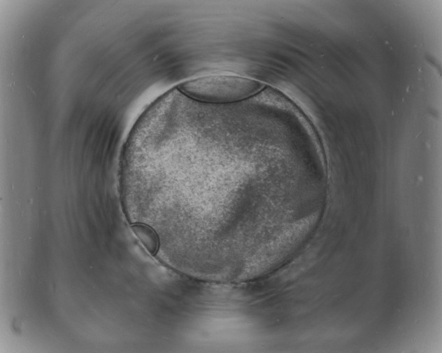 X0000102781104200809081022