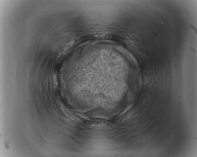 X0000102781106200809081021