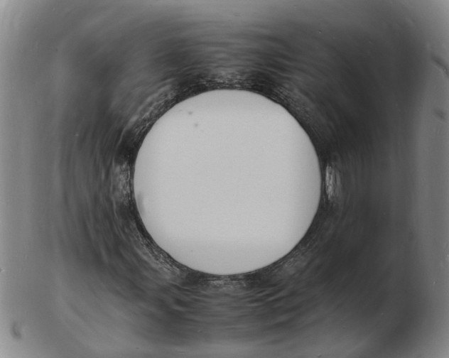 X0000102781107200809081021