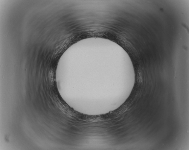 X0000102781108200809081021