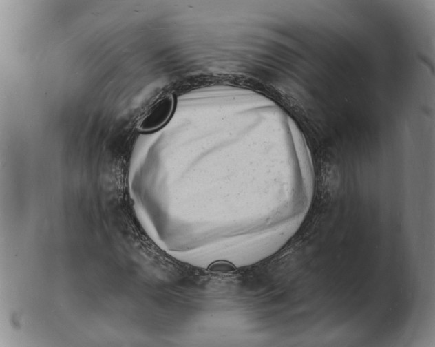 X0000102781110200809081021