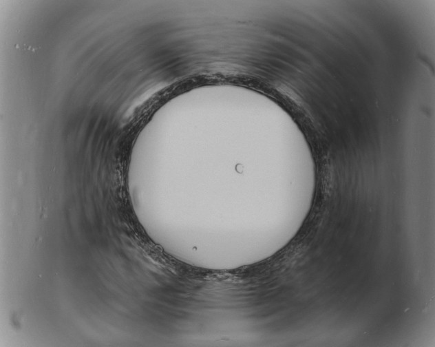 X0000102781112200809081021