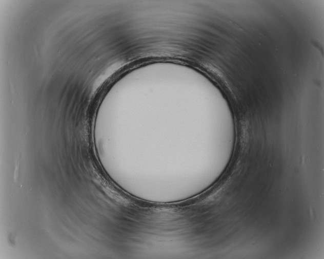 X0000102781114200809081021