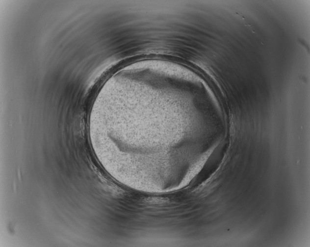 X0000102781115200809081021