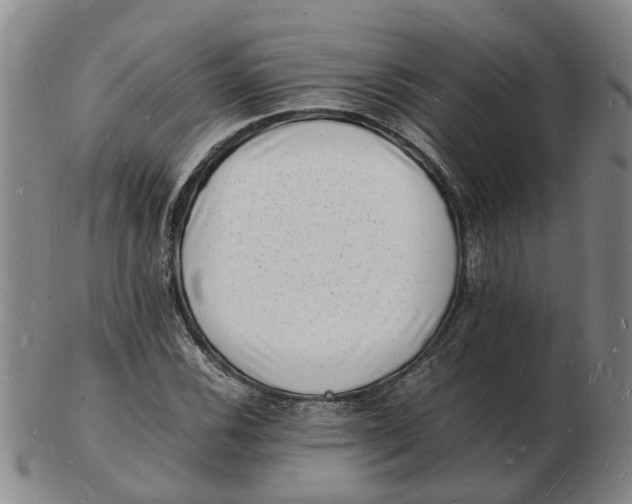 X0000102781116200809081021