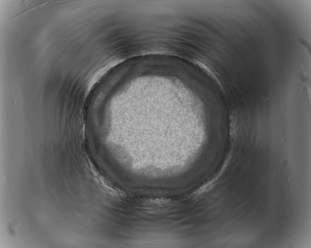 X0000102781117200809081021