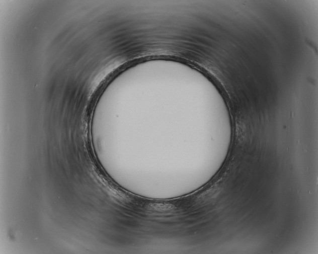 X0000102781119200809081021