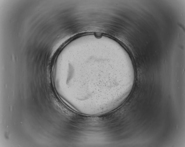 X0000102781120200809081021