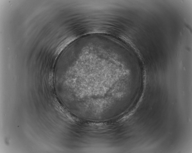 X0000102781121200809081021