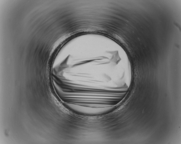 X0000102781122200809081021