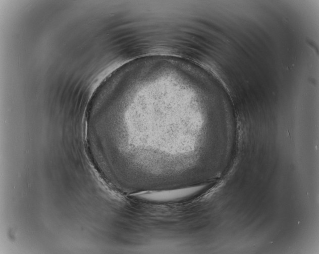 X0000102781125200809081021