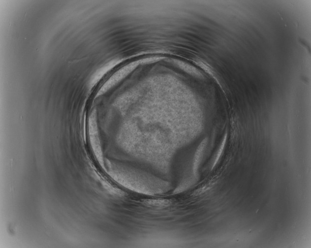 X0000102781127200809081021