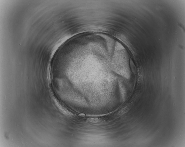 X0000102781128200809081021