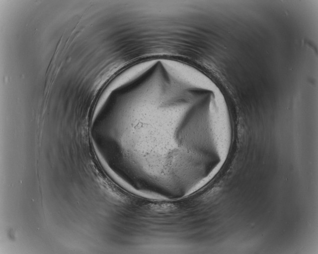 X0000102781129200809081021