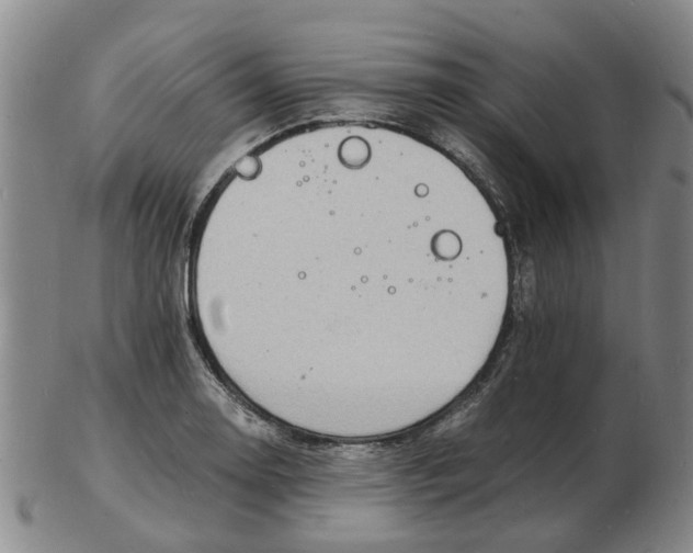 X0000102781130200809081021