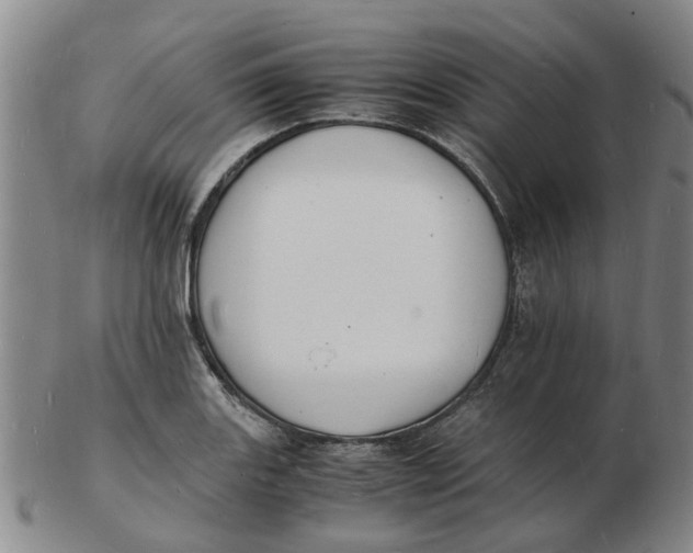 X0000102781131200809081021