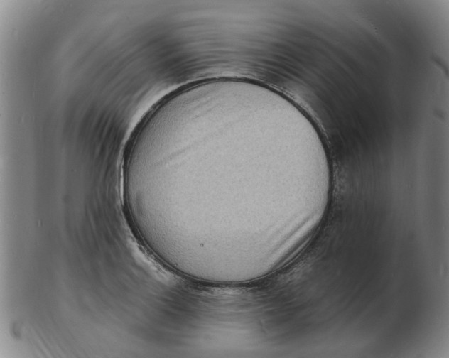 X0000102781132200809081021