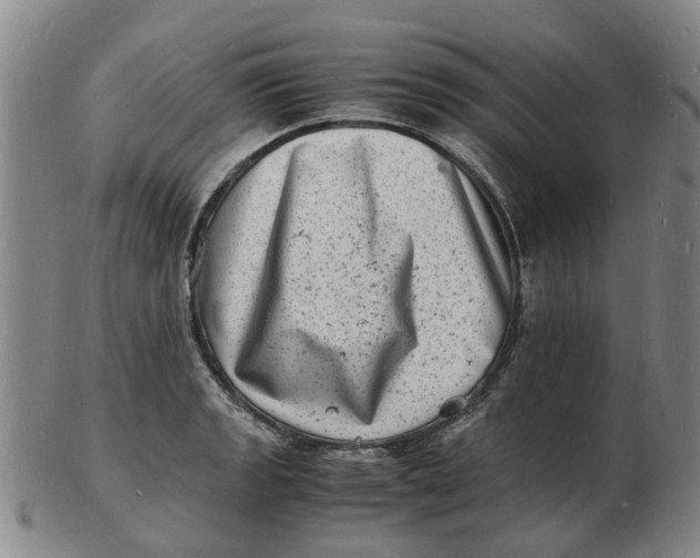 X0000102781133200809081021