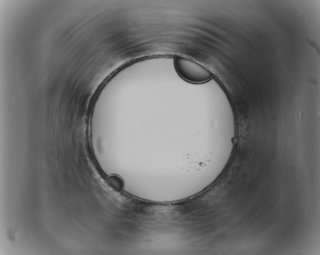 X0000102781134200809081021