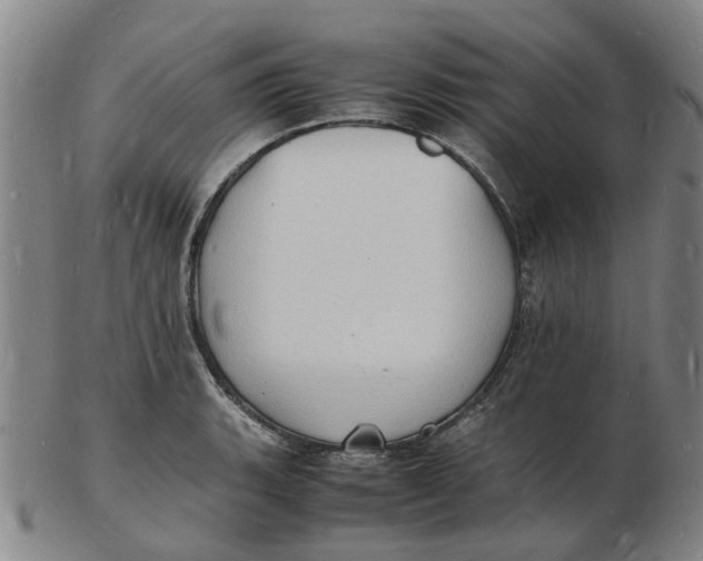 X0000102781135200809081021