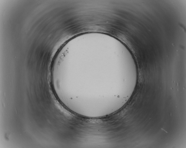 X0000102781136200809081021