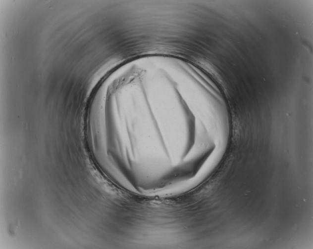 X0000102781138200809081022